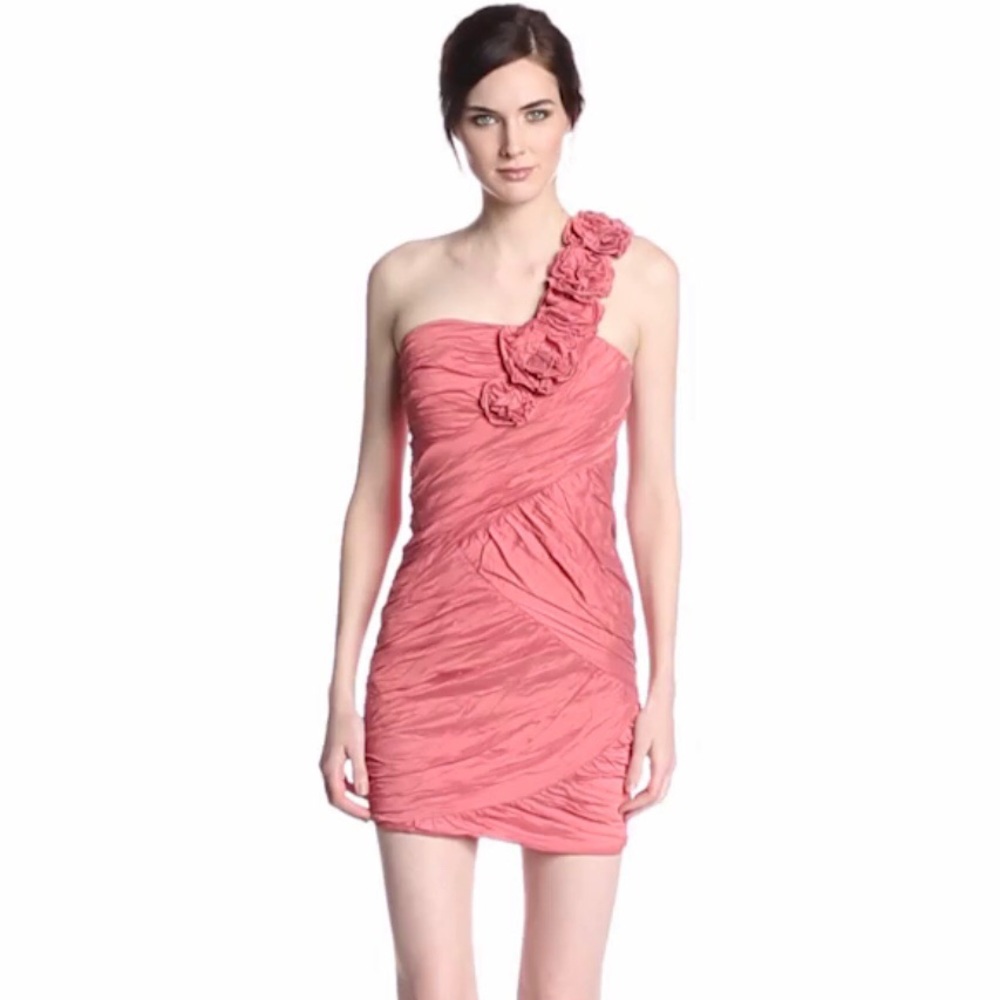 BCBG Cocktail Dress
